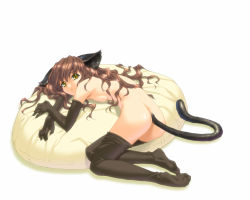 Rule 34 | 1girl, animal ears, ass, black thighhighs, brown hair, cat ears, cat tail, elbow gloves, feet, gloves, ino (magloid), long hair, nude, pillow, soles, solo, tail, thighhighs, toes, wallpaper, yellow eyes