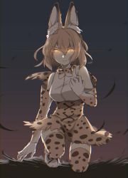 Rule 34 | 10s, 1girl, animal ears, arm at side, bare shoulders, blonde hair, bow, bowtie, chii in baru saba, closed mouth, cross-laced clothes, elbow gloves, floating hair, full body, gloves, glowing, glowing eyes, grass, hand up, high-waist skirt, highres, kemono friends, kneeling, lens flare, looking at viewer, medium hair, serious, serval (kemono friends), serval print, shirt, skirt, sleeveless, sleeveless shirt, slit pupils, solo, thighhighs, twilight, wind, wind lift, yellow eyes, zettai ryouiki