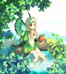 Rule 34 | 1girl, apple, bad id, bad pixiv id, blonde hair, blush, butterfly wings, elska0813, fairy, flower, food, frog, fruit, hair bobbles, hair ornament, head wreath, highres, insect wings, mercedes (odin sphere), odin sphere, puff and slash sleeves, puffy shorts, puffy sleeves, red eyes, saki (little crown), shorts, sitting, smile, soaking feet, solo, wings