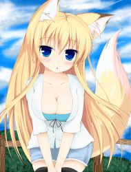 Rule 34 | 1girl, absurdres, animal ears, blonde hair, blue eyes, blush, breasts, cleavage, highres, kasumi toshizou, large breasts, long hair, looking at viewer, original, solo, thighhighs, v arms, very long hair, yamachan