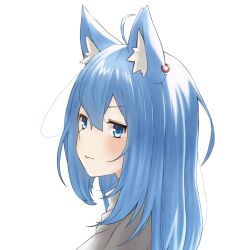 Rule 34 | 1girl, ahoge, animal ear fluff, animal ears, blue eyes, blue hair, blush, cat ears, closed mouth, commentary request, earrings, expressionless, hair between eyes, highres, jewelry, long hair, looking afar, lovermoonlight, medium bangs, nanashi inc., portrait, simple background, single earring, solo, souya ichika, virtual youtuber, white background