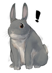 Rule 34 | !, animal, animal focus, brown eyes, commentary request, full body, looking at viewer, m.m, motion lines, no humans, original, rabbit, simple background, white background