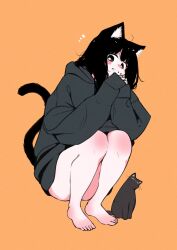 Rule 34 | 1girl, ahoge, animal ear fluff, animal ears, bare legs, barefoot, black cat, black hair, bottomless, cat, cat ears, cat girl, cat tail, emphasis lines, feet, full body, grey hoodie, grin, head tilt, highres, hood, hoodie, looking at viewer, megateru, orange background, original, oversized clothes, own hands together, sleeves past fingers, sleeves past wrists, smile, solo, squatting, tail, thighs, toes