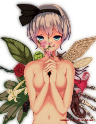 Rule 34 | 1girl, alternate hair length, alternate hairstyle, asymmetrical wings, blue eyes, branch, breasts, closed mouth, collarbone, eyebrows, flower, food, french text, fruit, hairband, hal (ojou), insect wings, konpaku youmu, leaf, lily (flower), looking at viewer, medium breasts, navel, no nipples, nude, organs, ovaries, own hands clasped, own hands together, parody, rose, sayonara wo oshiete, short hair, signature, silver hair, snail, solo, thorns, touhou, upper body, white background, white flower, wings