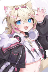 Rule 34 | 1girl, absurdres, animal ear fluff, animal ears, belt collar, black collar, black jacket, blue eyes, claw pose, collar, cropped jacket, cropped shirt, dog ears, dog girl, dog tail, fur-trimmed jacket, fur trim, hair ornament, highres, hololive, hololive english, jacket, looking at viewer, mococo abyssgard, mococo abyssgard (1st costume), multicolored hair, open mouth, pink hair, pink nails, shirt, solo, streaked hair, tail, virtual youtuber, white shirt, x hair ornament, xivi9