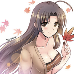Rule 34 | 10s, 1girl, ahoge, artist name, autumn leaves, bandeau, bare shoulders, breasts, brown eyes, brown hair, cleavage, collarbone, eyebrows, falling leaves, hair intakes, highres, holding, holding leaf, kantai collection, large breasts, leaf, long hair, looking at viewer, maple leaf, matching hair/eyes, shouhou (kancolle), smile, solo, the-sinner, upper body, white background