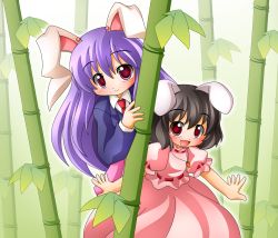 Rule 34 | 2girls, animal ears, bad id, bad pixiv id, bamboo, bamboo forest, black hair, brown hair, carrot, carrot necklace, dress, female focus, forest, highres, inaba tewi, jewelry, multiple girls, nature, necklace, pendant, purple hair, rabbit ears, red eyes, reisen udongein inaba, shinjitsu, touhou
