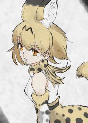 Rule 34 | animal ears, cats yone, gloves, highres, kemono friends, kemono friends 2, kemono friends 3, necktie, serval (kemono friends), shirt, skirt, tail