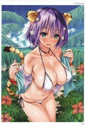 Rule 34 | 1girl, absurdres, animal ear fluff, animal ears, artist name, bikini, blue hair, blue sky, blush, breasts, cleavage, day, green eyes, highres, higuchi isami, looking at viewer, navel, ocean, outdoors, page number, scan, shiny skin, sky, smile, solo, stomach, swimsuit, tail, tiger ears, tiger tail, toranoana, water