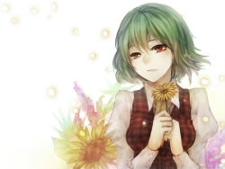 Rule 34 | 1girl, ascot, blouse, daisy, female focus, flower, geoly, glowing, glowing petals, green hair, head tilt, highres, holding, holding flower, kazami yuuka, light smile, petals, plaid, plaid vest, red eyes, shirt, short hair, solo, sunflower, touhou, upper body, vest, white background