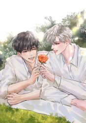 Rule 34 | 125neora, 2boys, black hair, collared shirt, flower, highres, ilay riegrow, jeong taeui, long sleeves, male focus, multiple boys, on grass, one eye closed, parted lips, passion (manhwa), red flower, red rose, rose, shirt, sleeves rolled up, smile, white background, white hair, white shirt, yaoi