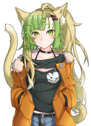 Rule 34 | 1girl, absurdres, ahoge, animal ear fluff, animal ears, atalanta (fate), belt, black belt, black choker, black shirt, blue pants, blush, breasts, brown hair, cat ears, cat girl, cat tail, choker, closed mouth, clothes writing, collarbone, commentary request, ear piercing, fate/apocrypha, fate (series), fur-trimmed jacket, fur trim, gradient hair, green eyes, green hair, hair ornament, hairclip, hands in pockets, highres, jacket, kirishina (raindrop-050928), multicolored hair, open clothes, open jacket, orange jacket, pants, piercing, print shirt, shirt, simple background, small breasts, solo, tail, white background