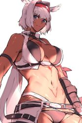 Rule 34 | 1girl, animal ears, blue eyes, body markings, breasts, caenis (fate), caenis (swimsuit rider) (second ascension) (fate), dark-skinned female, dark skin, fate/grand order, fate (series), hair intakes, large breasts, light smile, long hair, ponytail, sabamori, solo, stomach, white hair