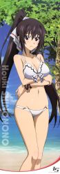 Rule 34 | 10s, 1girl, absurdres, beach, bikini, black eyes, black hair, bracelet, breast hold, breasts, character name, cleavage, collarbone, copyright name, crossed arms, day, embarrassed, groin, hair ribbon, hashimoto takayoshi, high ponytail, highres, infinite stratos, jewelry, long hair, long image, medium breasts, navel, ocean, outdoors, ribbon, shinonono houki, shiny skin, solo, standing, stomach, swimsuit, tall image, tree, very long hair, white bikini, white ribbon