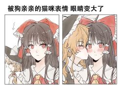 Rule 34 | 2girls, ascot, blonde hair, blush, bow, braid, brown hair, chinese commentary, chinese text, closed mouth, commentary request, expressive clothes, frilled bow, frilled hair tubes, frills, hair bow, hair tubes, hakurei reimu, hat, hat bow, hitte5416, kirisame marisa, long hair, multiple girls, red bow, red eyes, side braid, single braid, sweatdrop, touhou, translation request, white bow, witch hat, yellow ascot, yellow eyes, yuri