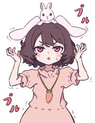 Rule 34 | 1girl, absurdres, animal ears, brown hair, carrot necklace, dress, floppy ears, frilled dress, frilled sleeves, frills, highres, inaba tewi, jewelry, kame (kamepan44231), looking up, necklace, pendant, pink dress, puffy short sleeves, puffy sleeves, rabbit, rabbit ears, red eyes, ribbon-trimmed dress, short hair, short sleeves, simple background, solo, touhou, v-shaped eyebrows, wavy hair, white background