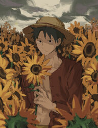 Rule 34 | 1boy, absurdres, black eyes, black hair, blank stare, closed mouth, facial scar, field, flower, flower field, grey sky, hat, highres, holding, holding flower, long sleeves, looking at viewer, male focus, monkey d. luffy, nhi, one piece, open clothes, open shirt, overcast, pectoral cleavage, pectorals, red shirt, sash, scar, scar on cheek, scar on chest, scar on face, shirt, short hair, sky, solo, straw hat, sunflower, sunflower field, yellow sash