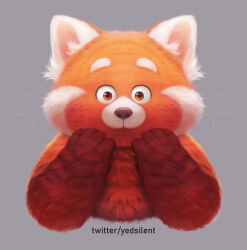 Rule 34 | 1girl, closed mouth, cropped torso, furry, furry female, grey background, hands on own face, highres, looking at viewer, meilin lee, orange eyes, red panda girl, solo, turning red, twitter username, whiskers, yed (yedsilent)