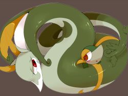 Rule 34 | blush, coiled, creatures (company), game freak, gen 5 pokemon, half-closed eyes, nintendo, open mouth, pokemon, pokemon (creature), red eyes, serperior, simple background, smile, snake, snivy, winter939