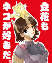 Rule 34 | 1girl, :d, animal, animal on head, armor, blue eyes, breastplate, brown hair, cat, fur, happypink, headgear, kanzaki miyuki (happypink), looking at viewer, lowres, on head, open mouth, red background, sengoku musou, sengoku musou 2, simple background, skin tight, smile, solo, tachibana ginchiyo, text focus, upper body, whiskers