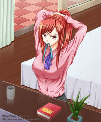 Rule 34 | 00s, 1girl, adjusting hair, arms up, athrun1120, bad id, bad pixiv id, bed, book, cup, erza scarlet, fairy tail, hairdressing, mouth hold, plant, ponytail, red eyes, red hair, solo