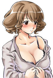 Rule 34 | 00s, 1girl, alternate hair color, artist request, blush, bra, breasts, brown eyes, brown hair, casual, cleavage, hinaichigo, huge breasts, large breasts, lingerie, aged up, rozen maiden, solo, underwear, undressing