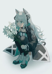 Rule 34 | 1girl, absurdres, animal ears, arknights, black jacket, black thighhighs, cat ears, cat girl, cat tail, collarbone, commentary request, dress, flower, full body, green eyes, grey hair, highres, holding, holding flower, jacket, knees up, long hair, long sleeves, looking away, miike (992058), mint (arknights), open clothes, open jacket, puffy long sleeves, puffy sleeves, shoes, sleeves past wrists, solo, squatting, tail, thighhighs, very long hair, white dress, white flower, white footwear