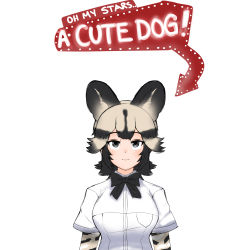 Rule 34 | 1girl, african wild dog (kemono friends), african wild dog print, animal ears, animal print, arms at sides, arrow (symbol), black hair, bow, bowtie, breast pocket, closed mouth, dog ears, english text, expressionless, extra ears, grey eyes, grey hair, highres, kemono friends, layered sleeves, long sleeves, looking at viewer, medium hair, multicolored hair, nanoder, pocket, print sleeves, shirt, short over long sleeves, short sleeves, sign, simple background, solo, two-tone hair, upper body, white shirt