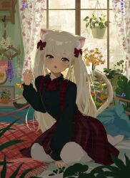 Rule 34 | 1girl, absurdres, animal ear fluff, animal ears, between legs, black shirt, bow, bowtie, cat ears, cat girl, cat tail, collared shirt, commentary request, dress, extra ears, fang, full body, hair ribbon, hand between legs, highres, indoors, kgt (pixiv12957613), long hair, long sleeves, looking at viewer, medium dress, no shoes, open mouth, original, pinafore dress, plaid, plaid bow, plaid bowtie, plaid dress, pleated dress, puffy long sleeves, puffy sleeves, purple eyes, red bow, red bowtie, red dress, red ribbon, ribbon, shirt, sitting, sleeveless, sleeveless dress, solo, tail, thighhighs, twintails, white hair, white thighhighs, yokozuwari
