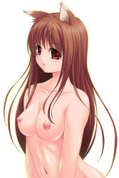 Rule 34 | 00s, 1girl, animal ears, breasts, holo, nipples, nude, solo, spice and wolf, toujou akira, wolf ears