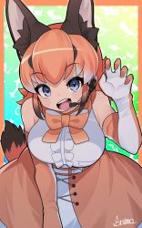 Rule 34 | 1girl, absurdres, animal costume, animal ear fluff, animal ears, black hair, blue eyes, bow, bowtie, caracal (kemono friends), caracal ears, elbow gloves, gloves, highres, kemono friends, kemono friends v project, long hair, looking at viewer, microphone, multicolored hair, open mouth, orange hair, ryuusui arumo, shirt, skirt, sleeveless, sleeveless shirt, smile, solo, tail, virtual youtuber