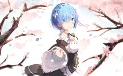 Rule 34 | 10s, 1girl, apron, blue eyes, blue hair, bow, breasts, cherry blossoms, detached sleeves, dress, flower, frilled dress, frills, hair ornament, hair over one eye, looking at viewer, maid, maid apron, maid headdress, matching hair/eyes, outstretched arm, petals, re:zero kara hajimeru isekai seikatsu, rem (re:zero), ribbon-trimmed clothes, ribbon-trimmed sleeves, ribbon trim, short hair, smile, solo, underbust, upper body, wide sleeves, x hair ornament, zzzzxxx2010nian