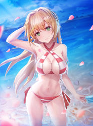Rule 34 | 1girl, ahoge, bad id, bad pixiv id, bikini, blonde hair, blush, breasts, closed mouth, fate/grand order, fate (series), food, green eyes, hair intakes, highres, large breasts, long hair, looking at viewer, navel, necoring862, nero claudius (fate), nero claudius (fate) (all), nero claudius (swimsuit caster) (fate), ocean, petals, popsicle, side-tie bikini bottom, smile, solo, standing, stomach, striped bikini, striped clothes, swimsuit