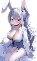 Rule 34 | 1girl, absurdres, animal ears, bed, blush, breasts, chimyo, cleavage, closed mouth, collared shirt, commentary, commission, expressionless, grey hair, highres, korean commentary, large breasts, long hair, long sleeves, looking at viewer, maplestory, no pants, petals, ponytail, rabbit ears, red eyes, shirt, sidelocks, sitting, sleeves past wrists, solo, stuffed animal, stuffed rabbit, stuffed toy, white shirt