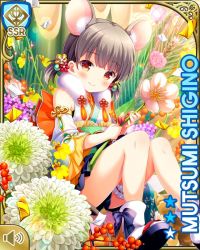 Rule 34 | 1girl, animal ears, brown hair, card (medium), day, dress, fake animal ears, fake tail, flower, girlfriend (kari), japanese clothes, kimono, looking at viewer, official art, open mouth, outdoors, qp:flapper, rat ears, mouse girl, rat tail, red eyes, shigino mutsumi, silver hair, sitting, smile, solo, tagme, tail