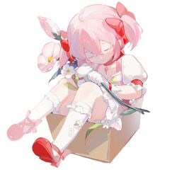 Rule 34 | 1girl, bow, box, bubble skirt, cardboard box, choker, closed eyes, collarbone, crossed bangs, flower, footwear bow, frilled skirt, frilled sleeves, frilled socks, frills, from above, full body, gloves, hair bow, highres, holding, holding flower, in box, in container, kaname madoka, kneehighs, knees up, leaf, magical girl, mahou shoujo madoka magica, mahou shoujo madoka magica (anime), nekofeiyuuuu, pink flower, pink hair, puffy short sleeves, puffy sleeves, red choker, red footwear, shoes, short hair, short sleeves, short twintails, simple background, sitting, skirt, socks, solo, twintails, white background, white flower, white gloves, white socks