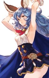 Rule 34 | animal ears, armpits, arms up, backless outfit, belt, blue hair, blue skirt, breasts, cape, cowboy shot, erune, ferry (granblue fantasy), fur trim, granblue fantasy, hair between eyes, long hair, loose belt, makimura shunsuke, medium breasts, microskirt, sideboob, simple background, skirt, solo, wavy hair, white background, yellow eyes