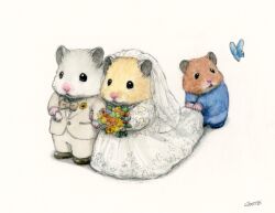 Rule 34 | animal focus, ap hamham, artist name, blue butterfly, bouquet, bow, bowtie, bridal veil, bride, brown fur, bug, butterfly, closed mouth, commentary, dress, english commentary, flower, grey fur, groom, hamster, highres, holding, holding bouquet, insect, leaf, looking at animal, no humans, open mouth, orange flower, original, pants, signature, solid circle eyes, standing, veil, wedding, wedding dress, white dress, yellow flower, yellow fur