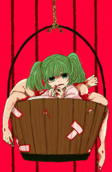 Rule 34 | 1girl, bad id, bad pixiv id, blood, bucket, female focus, green eyes, green hair, highres, in bucket, in container, kisume, legs, matching hair/eyes, open mouth, rope, shima mei, shimana (cs-ts-az), short hair, solo, touhou, twintails