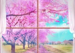 Rule 34 | aobara1101, blue sky, cherry blossoms, commentary request, curtains, day, highres, looking outside, no humans, original, petals, scenery, sky, spring (season), sunlight, window