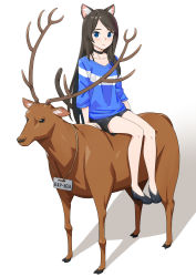 Rule 34 | 1girl, absurdres, aina (mao lian), animal ear fluff, animal ears, black choker, black footwear, black shorts, blue eyes, blue shirt, brown hair, cat ears, cat tail, choker, closed mouth, deer, grey background, highres, long hair, looking at viewer, mao lian (nekokao), original, shirt, shoes, short shorts, shorts, sidesaddle, sign, sign around neck, simple background, sitting, smile, solo, tail