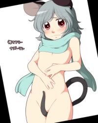 Rule 34 | 1girl, animal ears, between legs, blush, covering privates, covering crotch, flat chest, grey hair, hands on stomach, looking at viewer, mouse ears, mouse tail, naked scarf, nazrin, neko majin, pink eyes, prehensile tail, scarf, solo, tail, tail between legs, touhou