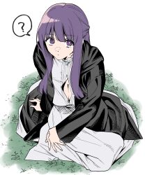 Rule 34 | 1girl, ?, absurdres, black robe, breasts, cleavage, fern (sousou no frieren), grass, highres, karasuma yayoi, large breasts, long hair, looking at viewer, purple eyes, purple hair, robe, sitting, solo, sousou no frieren, spoken question mark
