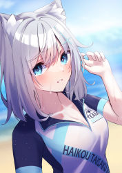 Rule 34 | 1girl, animal ear fluff, animal ears, blue archive, blue eyes, blush, collarbone, cross hair ornament, cycling uniform, grey hair, hair ornament, jzcx2735, looking at viewer, mismatched pupils, shiroko (blue archive), shiroko (cycling) (blue archive), short hair, smile, solo, sweat