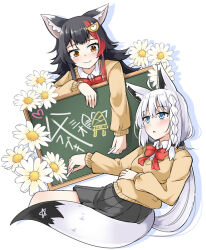 Rule 34 | 2girls, ahoge, ai ai gasa, animal ear fluff, animal ears, black hair, blush, bow, bowtie, braid, brown sweater, chalk, chalkboard, collared shirt, commentary request, flower request, fox ears, fox girl, fox tail, green eyes, grey skirt, hair between eyes, hair ornament, hairclip, hololive, ichimi, long hair, looking at another, multicolored hair, multiple girls, ookami mio, open mouth, oruyanke (shirakami fubuki), pentagram, pleated skirt, red bow, red bowtie, red hair, shirakami fubuki, shirt, sidelocks, single braid, skirt, smile, streaked hair, sweater, tail, virtual youtuber, white hair, white shirt, wolf ears, wolf girl