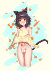 Rule 34 | 1boy, absurdres, animal ears, artist request, black hair, blush, clothes lift, dress, dress lift, highres, looking at viewer, male focus, original, penis, red eyes, short hair, solo, tail, testicles, trap, uncensored, wolf ears
