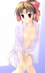 Rule 34 | 1girl, acid head, bottomless, breasts, flat chest, highres, nipples, open clothes, open shirt, red eyes, ribbon, shirt, sleeves rolled up, small breasts, solo