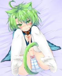 Rule 34 | 1girl, absurdres, ahoge, animal ears, blush, cat ears, cat tail, collar, colorized, dodome-iro mayonnaise, feet, folded, green eyes, green hair, highres, knees to chest, legs up, lying, matching hair/eyes, on back, original, panties, sharon (dodomayo), short hair, solo, striped clothes, striped panties, tail, tears, thighhighs, underwear, white thighhighs