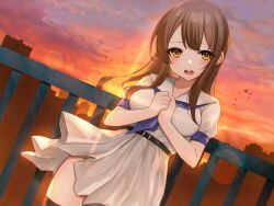 Rule 34 | 1girl, animal, bird, blue neckerchief, breasts, brown hair, cityscape, commentary request, dress, hand up, highres, hoshimiya aki, long hair, looking at viewer, medium breasts, neckerchief, open mouth, orange eyes, original, outdoors, own hands together, puffy short sleeves, puffy sleeves, railing, sailor collar, sailor dress, short sleeves, solo, sunset, teeth, upper teeth only, white dress, white sailor collar
