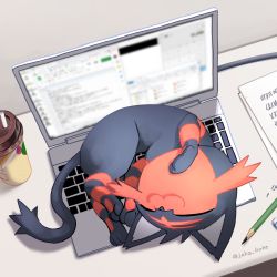 Rule 34 | :3, animal focus, cat, closed eyes, closed mouth, coffee cup, commentary request, computer, creatures (company), cup, disposable cup, full body, game freak, gen 7 pokemon, highres, indoors, jako (boke poke), laptop, litten, lying, nintendo, paper, pencil, pokemon, sleeping, smile